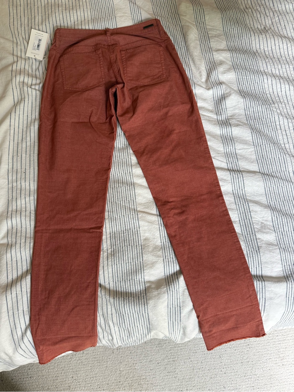 Women’s Dogtown Slim Straight Pants - Rust